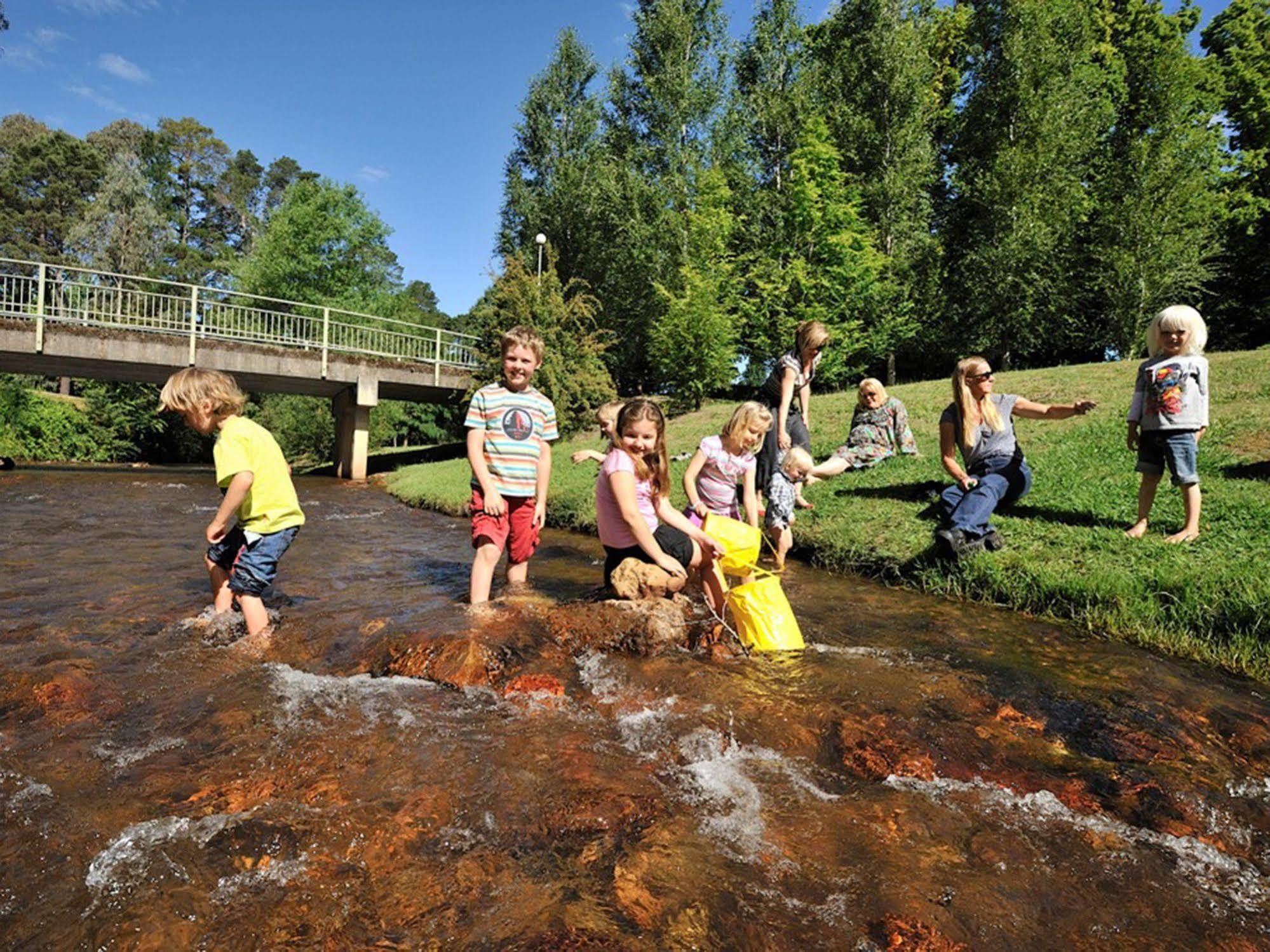 Nrma Bright Holiday Park Bagian luar foto