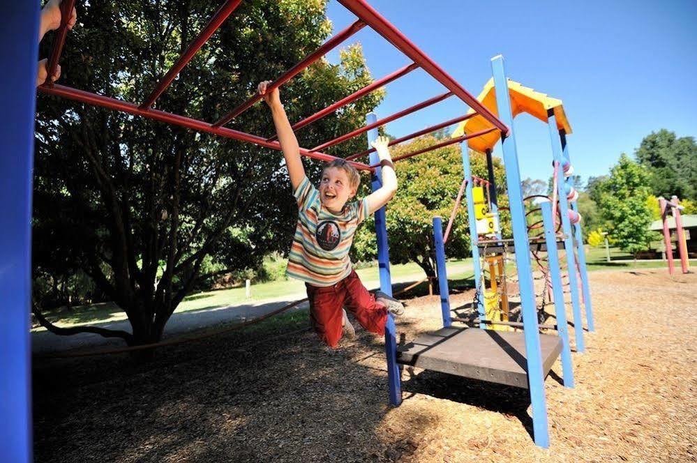 Nrma Bright Holiday Park Bagian luar foto